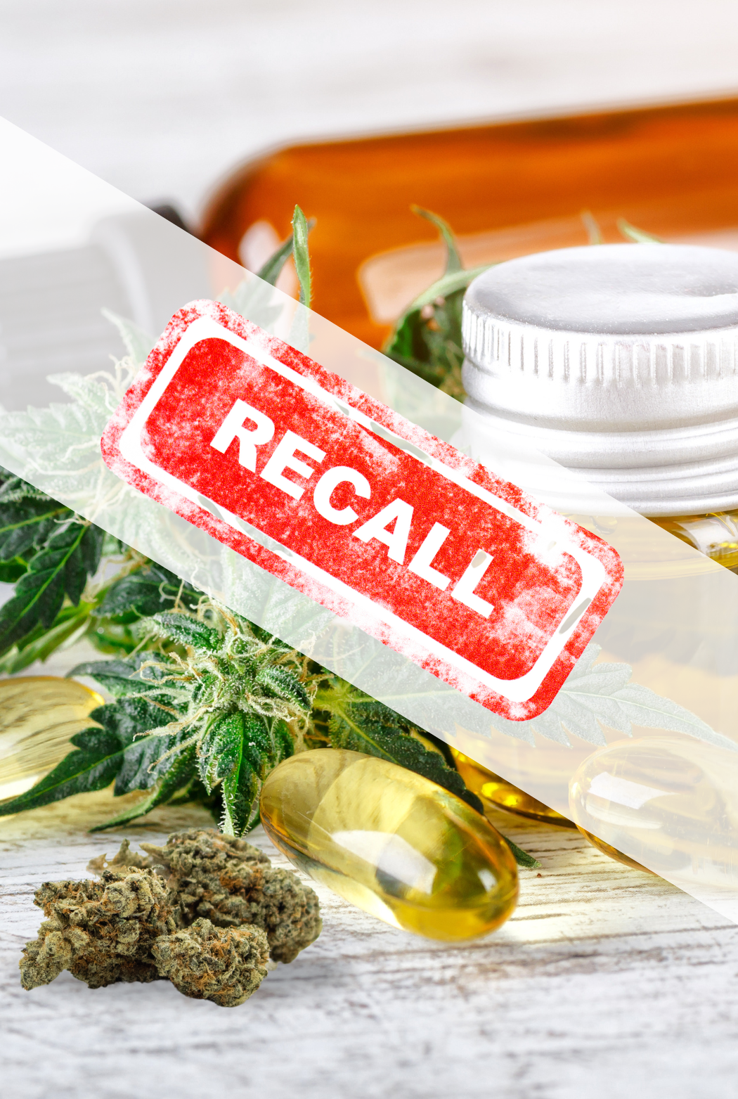 Gavel and Cannabis : PHOTO